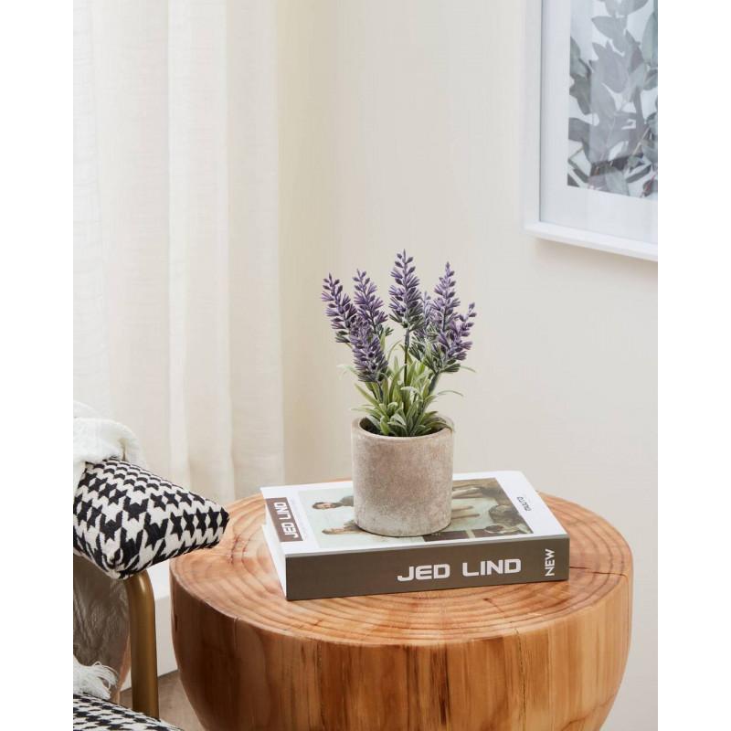 PLANTA LAVANDA LILA MACETA CAFÉ H220 DM80 en ambiente