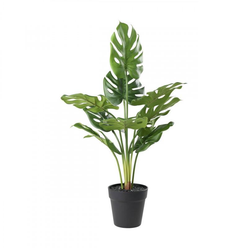 AKBEIT PLANTA ARTIFICIAL L300 H640